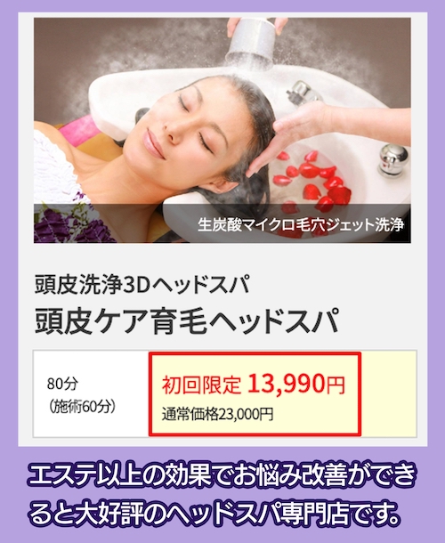 ワヤンプリのヘッドスパの料金相場