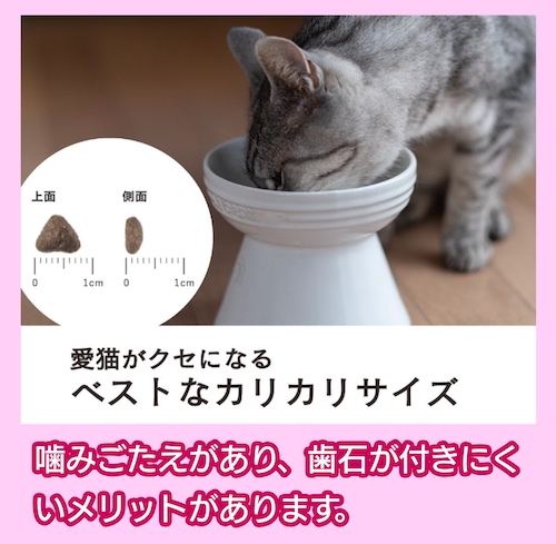 グランツ ドライフード