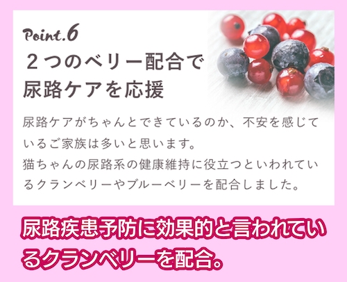 グランツ「チキン&サーモン 全年齢」