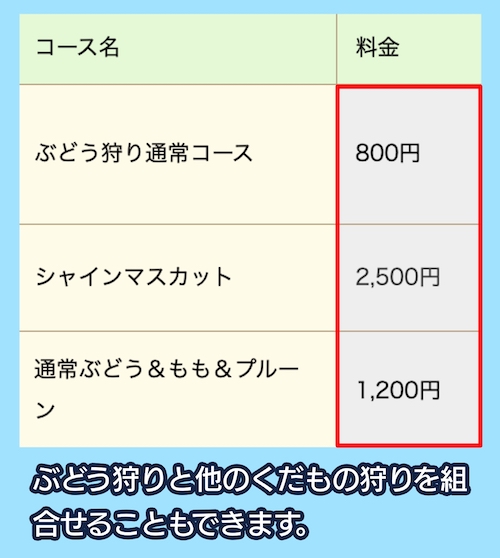 上山観光フルーツ園の料金相場