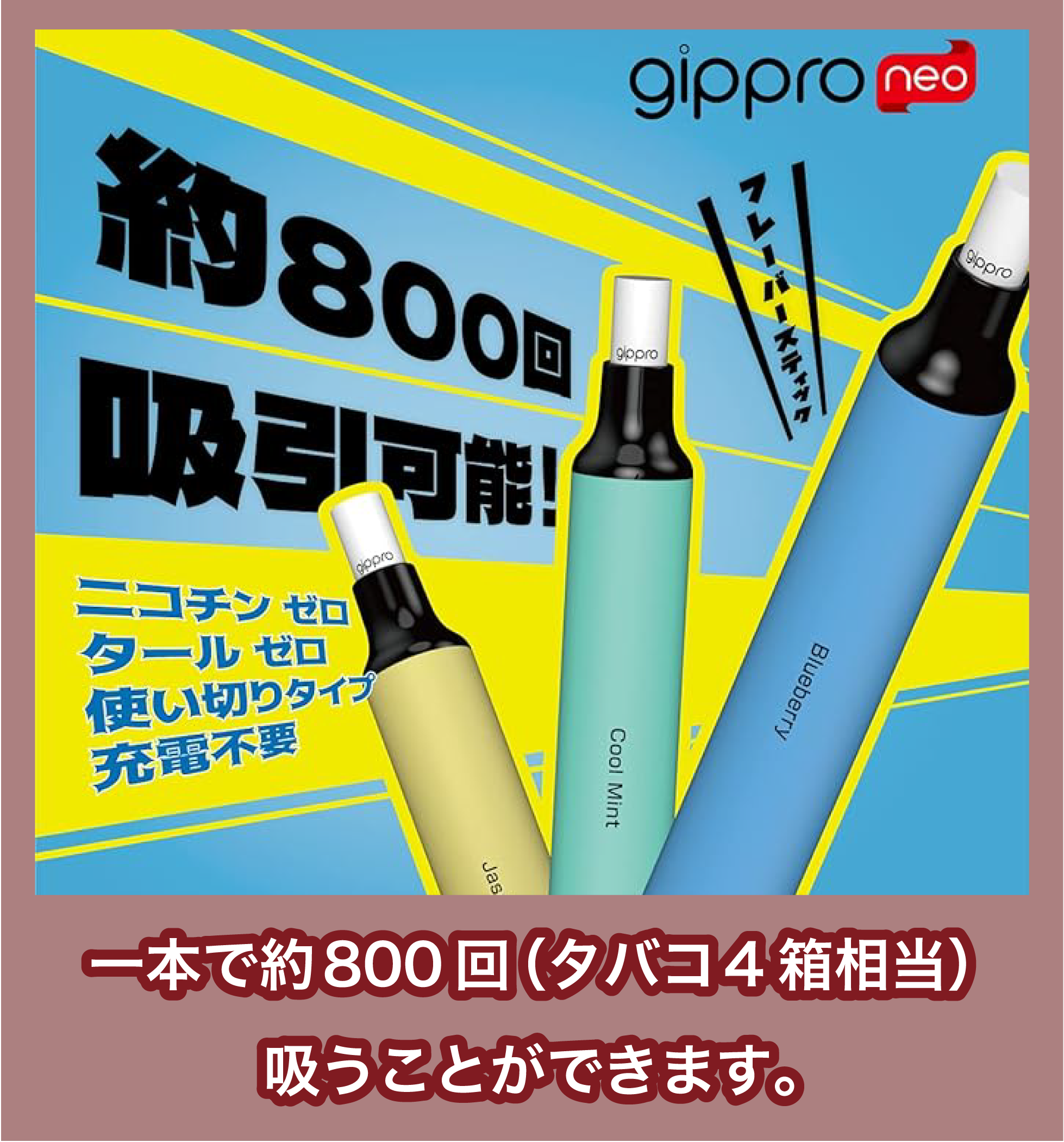 gippro Neoの特徴