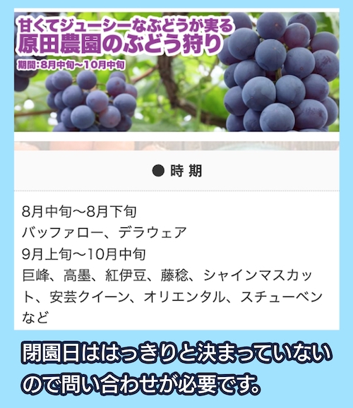 果実の里 原田農園 ぶどう狩りのシーズン