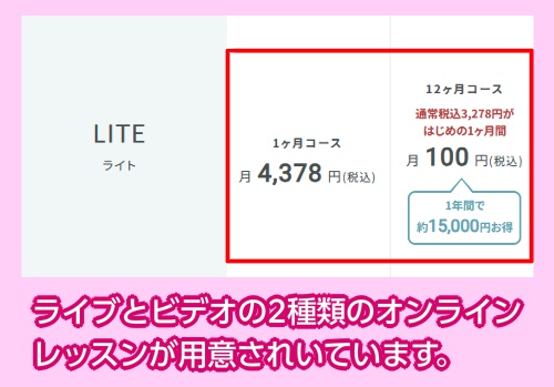 SOELUの料金相場