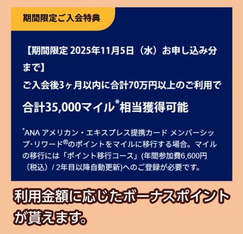 ANAアメリカン・エキスプレス・カード入会特典